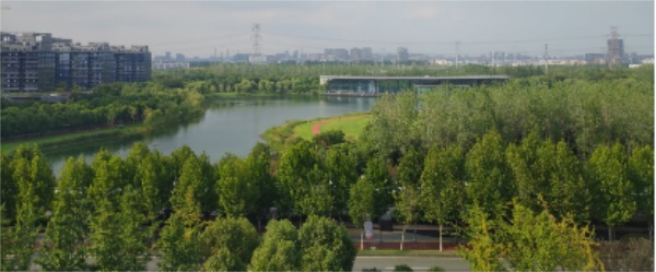15.JPG