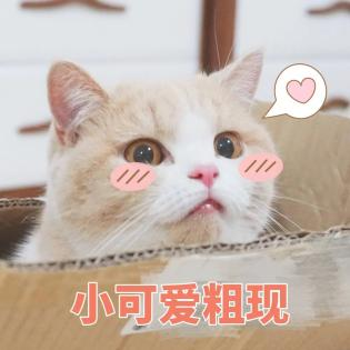 4.png 4.png