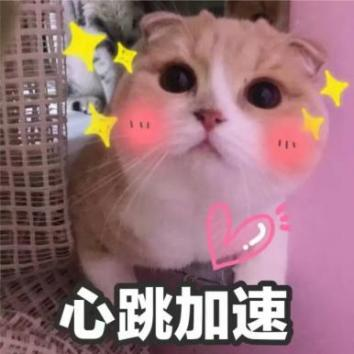 5.png 5.png