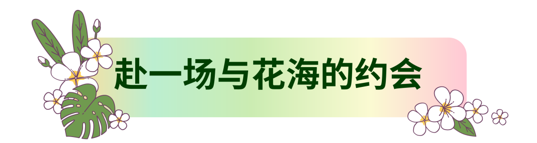 3.png 3.png