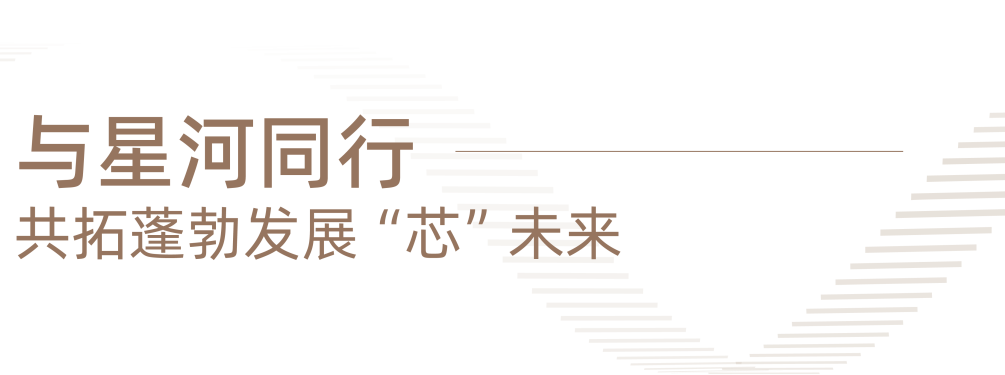 17.png 17.png